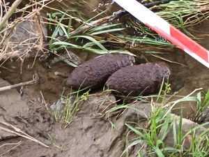 na zdjęciu widoczne dwa pociski artyrelyjskie pochodzące najprawdopodobniej z czasów II Wojny Światowej