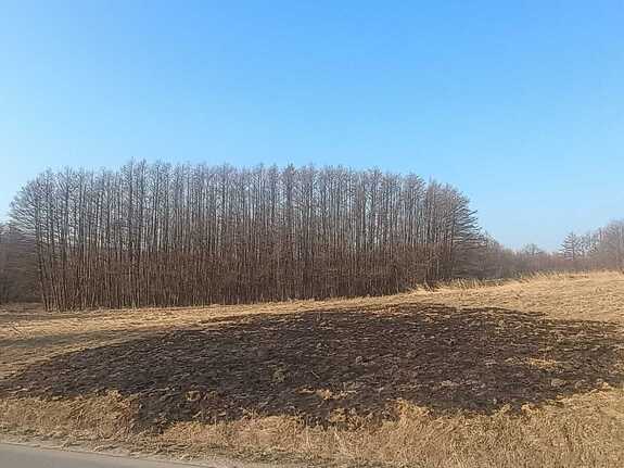 na zdjęciu widać wypalony fragment łąki, policja apeluje, że wypalanie traw jest zabronione