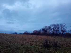 na zdjęciu widoczny krajobraz, łąka, pole. Policja mówi o bezpieczeństwie podczas wiosennych prac polowych