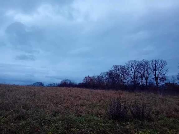 na zdjęciu widoczny krajobraz, łąka, pole. Policja mówi o bezpieczeństwie podczas wiosennych prac polowych