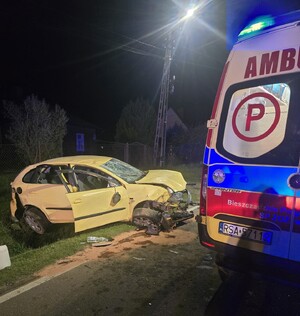 Brzozowscy policjanci wyjaśniają przyczyny wypadku, w którym ranne zostały trzy osoby. 17-letni kierowca Seata stracił panowanie nad pojazdem, a następnie dachował.  Mężczyzna nie miał uprawnień do kierowania pojazdami. Do wypadku doszło wczoraj po godz. 21 w miejscowości Blizne